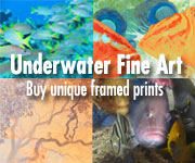 Underwater Fine Art & Photography