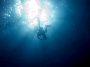 Diver surfacing from below