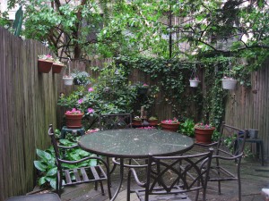 My backyard garden on New York's upper East Side