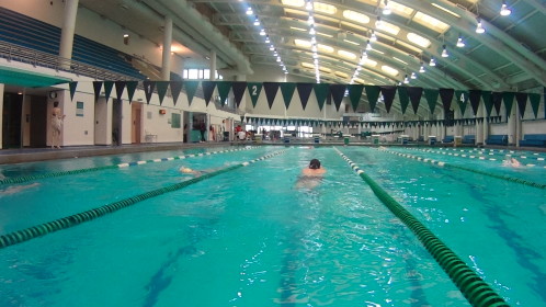 Asphalt Green Pool