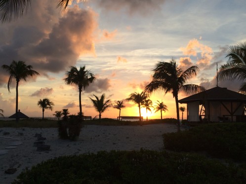 Sunset and palm trees in the Turks & Caicos