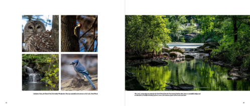 My Photographic Journey through an Isolating Year, Central Park, book spread
