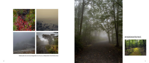 My photographic journey through an Isolating year, Sam's point hik spread